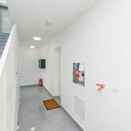 Stefani * Спліт