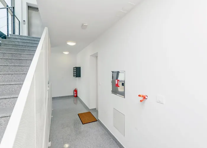 Stefani * 스플리트